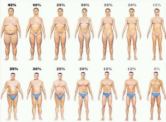 Fat Percentage of Body