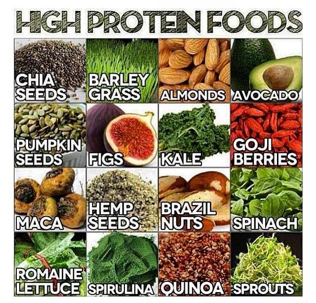 protein photo
