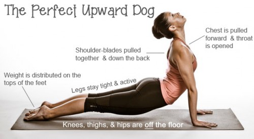 Yoga-Upward-Dog