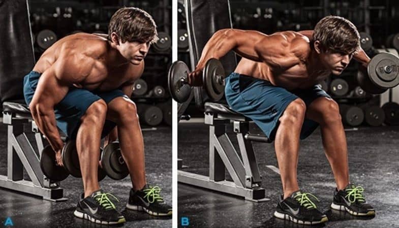 Seated Bent-Over Rear Delt Raise
