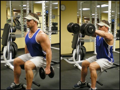 Seated Front Dumbbell Raise