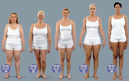 body fat levels